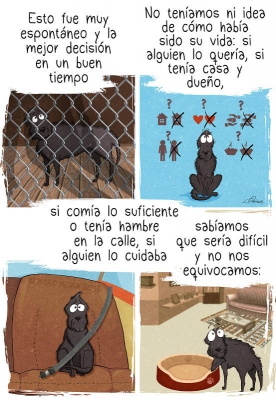 10+ Cosas de las que nos damos cuenta cuando adoptamos un perro de refugio