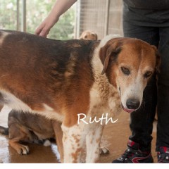 Ruth